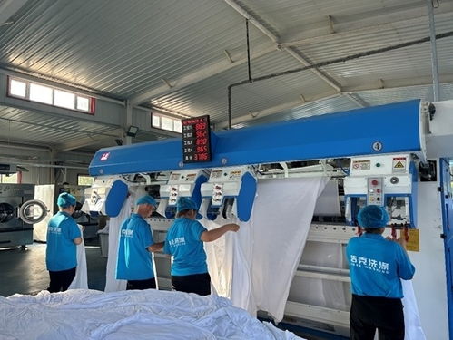 西部烏鎮(zhèn) 烏爾禾鄉(xiāng)村振興中的就地現(xiàn)代化探索與實(shí)踐——?jiǎng)趧?wù)服務(wù)的角色與路徑