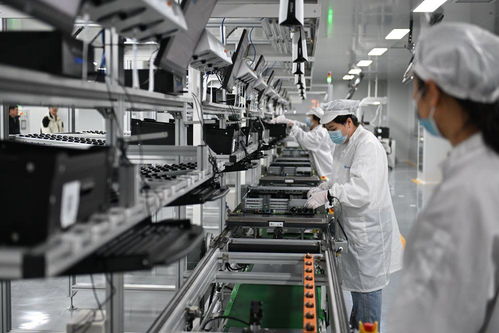 雄安新區 未來之城展新姿，綠化服務鑄就生態典范